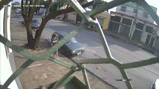 Falling Tree Almost Hits Pedestrian || ViralHog