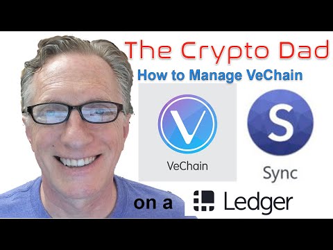 Mengelola VeChain dengan Dompet Sinkronisasi VeChain