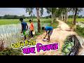 গ্রামে বরশি দিয়ে ডোবা থেকে মাছ ধরা ।। Village Fishing in Bangladesh ।। Free Minder #fishing