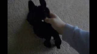 Scenes For Joe Judd Crowley Videos