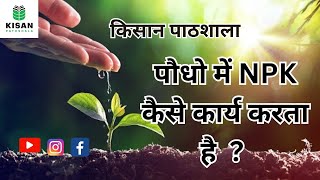 4 NPK, पौधे का भोजन, Plant Food, KISAN PATHSHALA FPO FPC 8966838222 Dr BALRAM KISAN | NPK KYA HAI ? screenshot 3