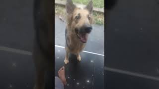 Vindi Httpsyoutube.comshorts74Msm8Tgwa?Sifixnk9Ix3Vd9Cpd