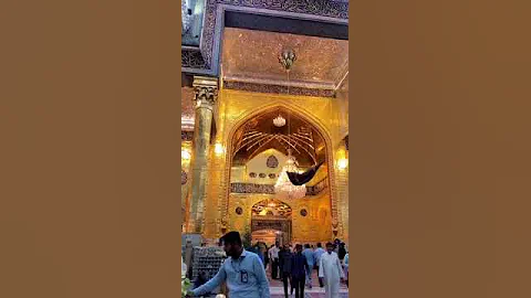 Mashallah Beautiful View Haram E Maula Abbas As ❤️❤️| Karbala Iraq | Syed Shahid Haider Mola Bula Le