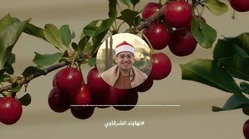 نهاوند ياسر الشرقاوي من سورة الرعد