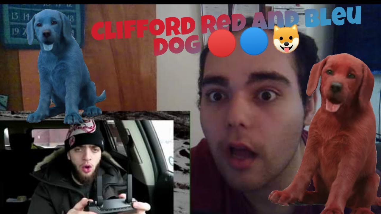 Jay Hills and Clifford the big red and a Bleu Dog React(Wait does a Big