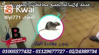 @الشركة الألمانية لابادة الحشرات والقوارض 01005577432