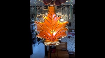 Maple Syrup Vacuum Filter: First Use