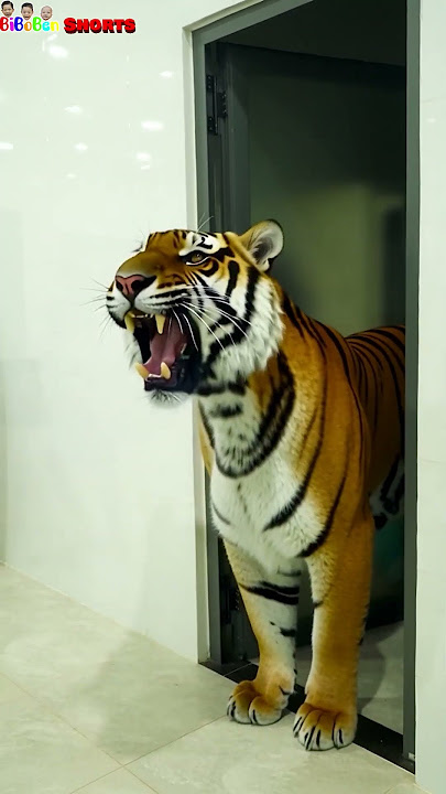 Funny video | The scary door 😲😧😨 #shorts #funny