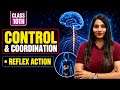 Control and Coordination: Reflex Action Full Explanation | Class 10 CBSE