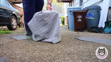 Follow along as we work on a TNR project in Bayside, Queens