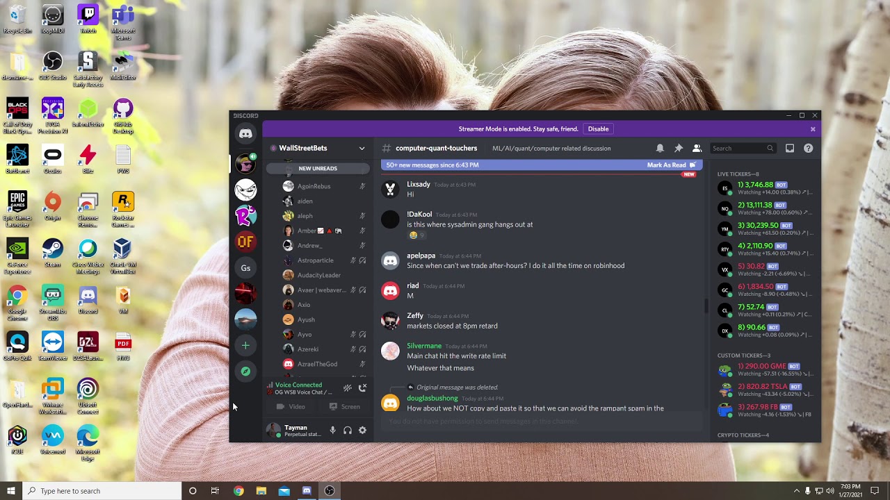 WallStreetBets Discord at peak performance