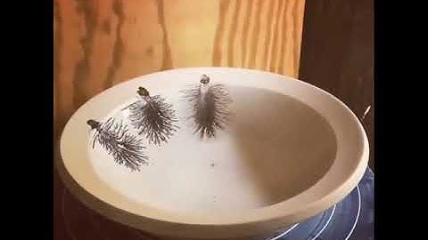 Dendritic slip 🌿 aka mocha diffusion || #satisfyingvideos #processvideo #potteryvideos