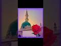 Hamare Nabi ke kitne bete the ❤️‍🩹🧑🧑#education #viral #video #