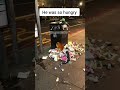 POV: You’re a stray cat looking for a kind soul. 🏠 #shorts #sadstory #catvideos #viralvideo