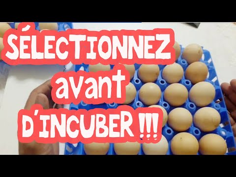 Vidéo: Comment nettoyer les œufs avant l'incubation ?