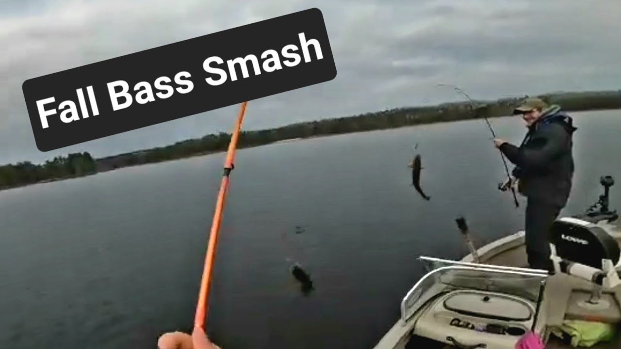Fall Bass Fishing + Underwater Footage