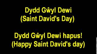 (Learning Welsh) Basic - How to say (happy) Saint David's Day
