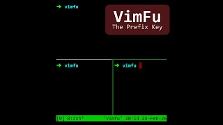 VimFu — The Prefix Key