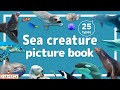 Sea Creature Picture Book | Video for Kids 【海の生きもの図鑑】25種類のいろんな生き物をみてみよう！英語知育アニメ