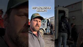 Day on the farm episode 1. #agriculture #farming #farmer