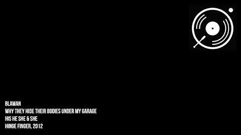 Blawan - Why They Hide Their Bodies Under My Garage