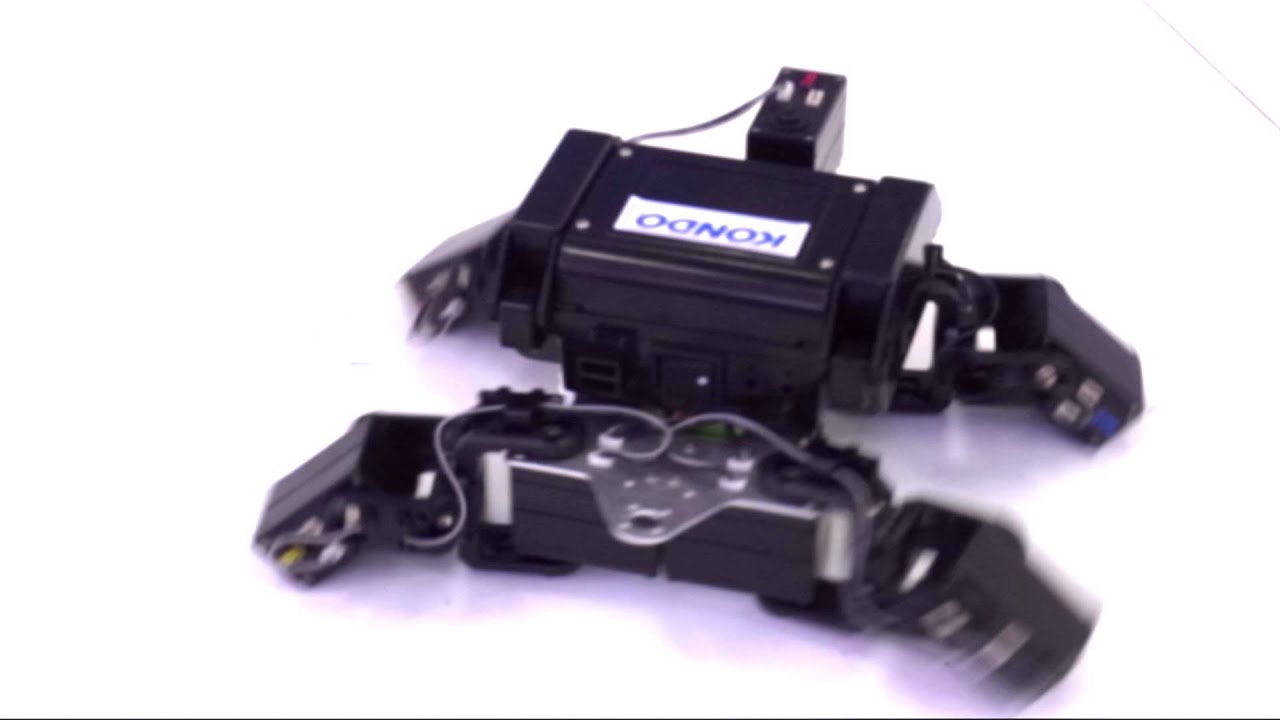 カメ型ロボットデモ - YouTube