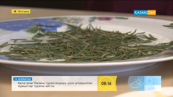 Жаңа онлайн порно видеолар