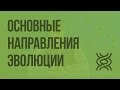 Основные направления эволюции. Видеоурок по биологии 9 класс