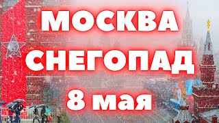 Снег в Москве сегодня ураганный ветер валит деревья на провода и автомобили