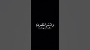 أولم يو أنا خلقنا لهم مما عملت أيدينا أنعاما | #كرومات للقارئ أحمد العربي - #قران_كريم #اكسبلور