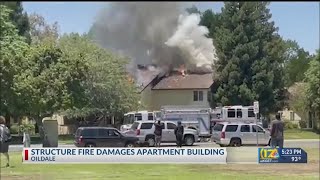 13 displaced, nearly 2 dozen animals rescued from Oildale apartment fire
