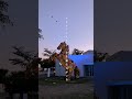 きざし さよならの向こうで #きざし #長澤知之