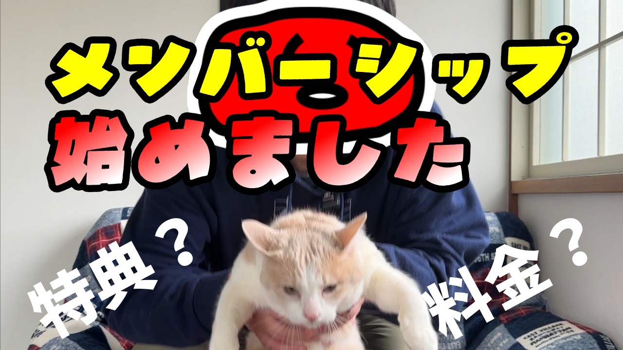 メンバーシップ開始のお知らせ