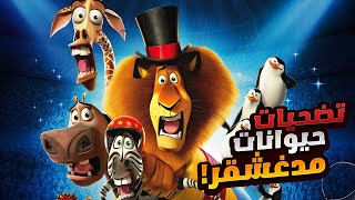 مجموعه من الحيوانات بيهربوا من الحديقه وبيروحو يعيشو في السرك | مشاهدة فيلم | ملخص فيلم Madagascar 3