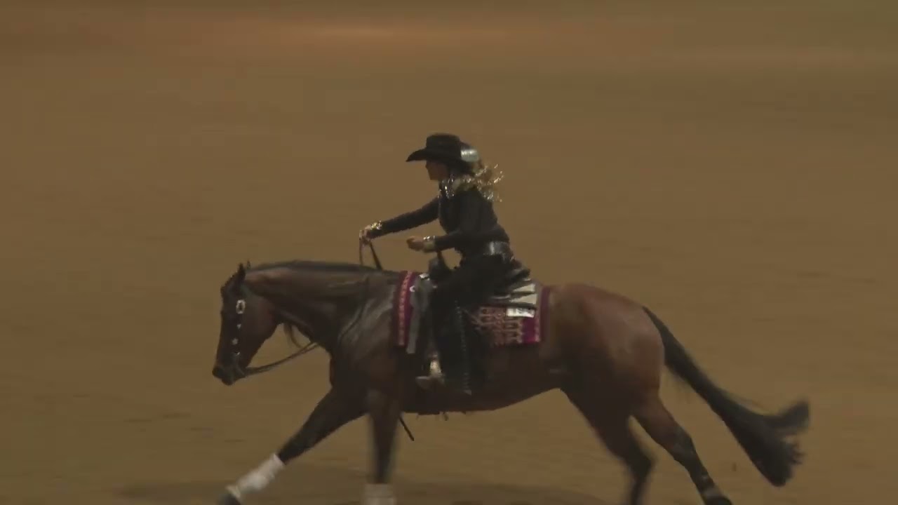 2026 Florida Reining Classic Open Shannon Rafacz on Gotta Get The Chex