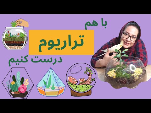 تصویری: کدام گیاهان برای تراریوم خوب هستند؟