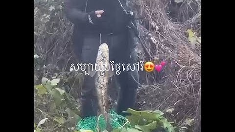 I Spent 30 Days Fly Fishing with PROFESSIONALS Here