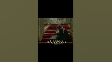 سورة الاحزاب | #quran #ارح_قلبك #قرآن #اكسبلور #القرآن_الكريم