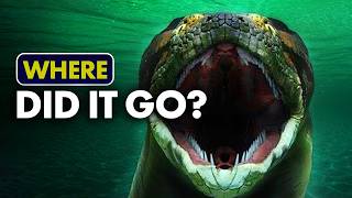Download Lagu The Largest Snake Ever Discovered |The Terrifying Titanoboa MP3