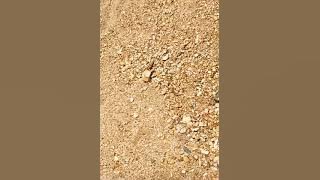 Di pertambangan pasir gunung Sorong Papua barat