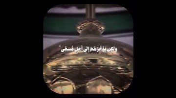 آيات من سورة النحل / محمد أيوب