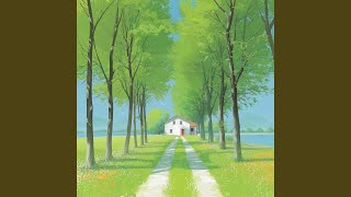 Gentle Shadows