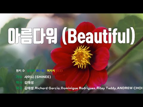 [은성 반주기] 아름다워(Beautiful) - 샤이니(SHINEE)