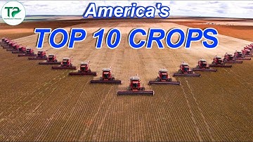 America’s Biggest Harvests by the Numbers — You Won’t Believe the Scale | American Farming