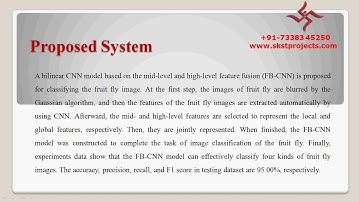 IEEE FB-CNN: Feature Fusion-Based Bilinear CNN for Classification of Fruit Fly Image