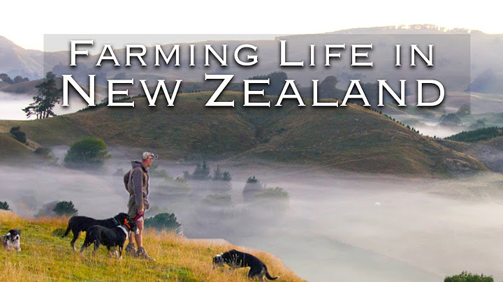Farming the World's Most Isolated Country... | A Day in the Life of A New Zealand Farmer