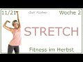 11/21🍁34 min. Stretching als aktive Regeneration | ohne Geräte