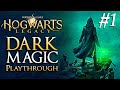 I went to the dark side  hogwarts legacy episode 1