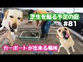 #81カーポート準備三回目。庭に芝生を貼りたい【空き家の古民家DIY】