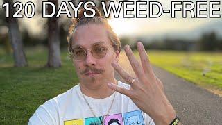What 4 months SOBER from Cannabis feels like